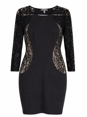 Black Lace Panel Bodycon Dress